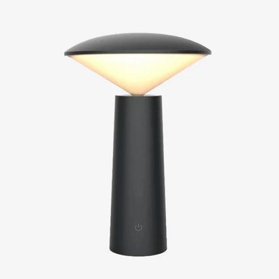 Modern LED Desk Lamp