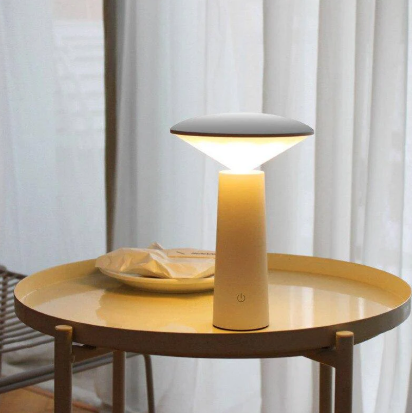 Modern LED Desk Lamp