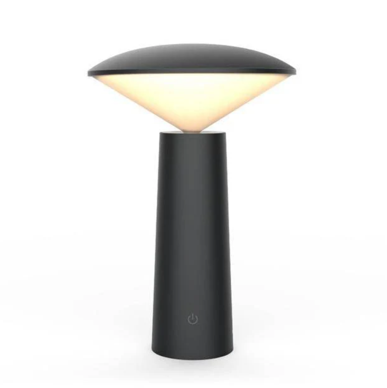 Modern LED Desk Lamp