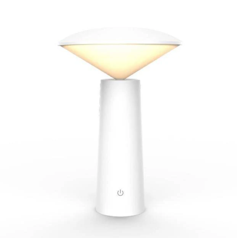 Modern LED Desk Lamp