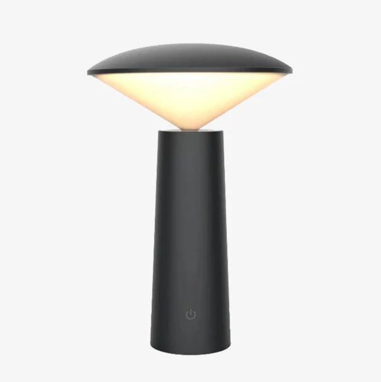 Modern LED Desk Lamp